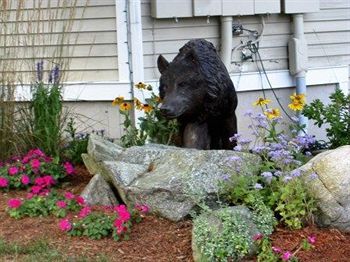 Cedar Park Inn North Stonington Exterior photo